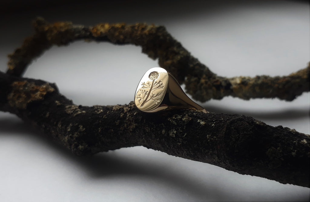 NEW ENGRAVED BOTANICAL SIGNET RINGS FROM ERIN CLAUS