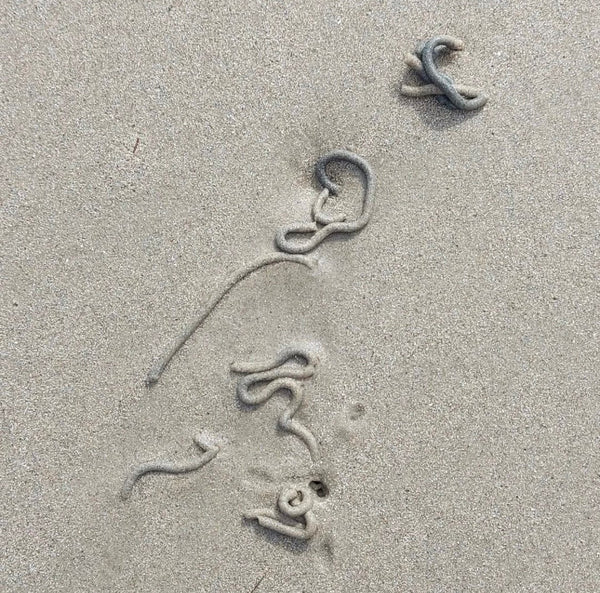 Spessartite Sandworm Strand Earrings