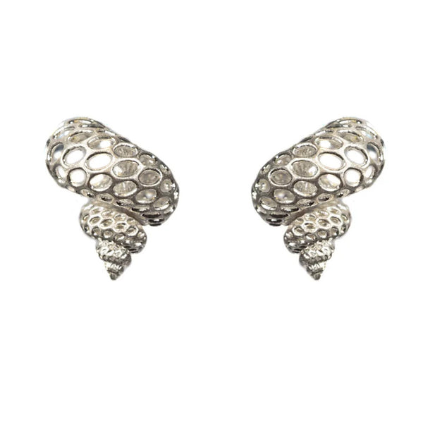 Silver Shell Stud Earrings