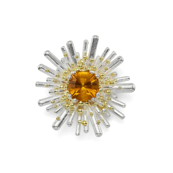 Reef Urchin Citrine Brooch