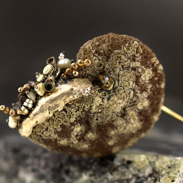 Ammonite Coastal Pin