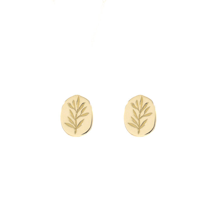 14ct Gold Olive Branch Studs