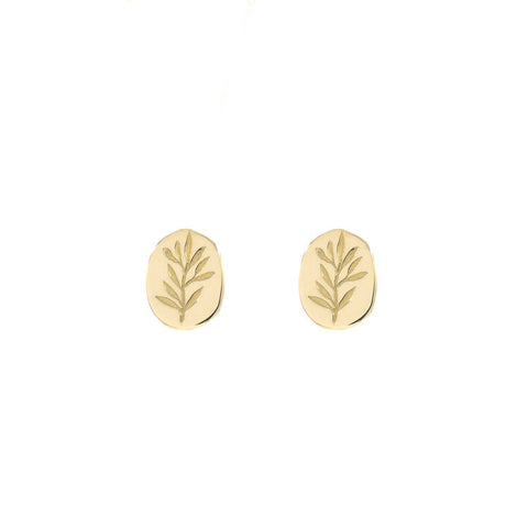 14ct Gold Olive Branch Studs