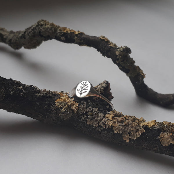 Mini Olive Branch Signet Ring